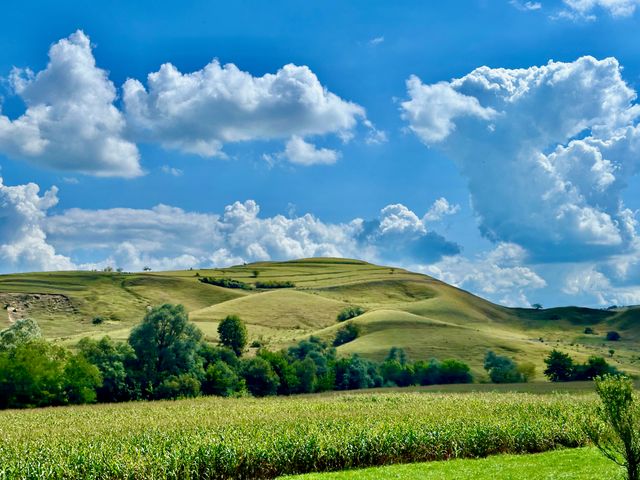 Landschaft zwischen Medias und Sibiu