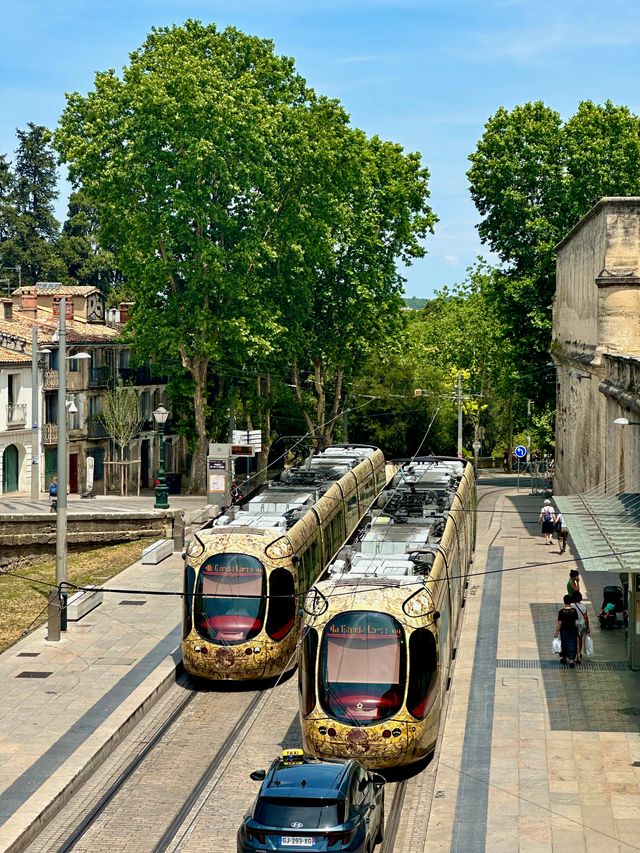 Trams in Montpellier